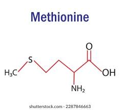 Метионин