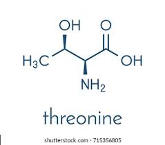 Треонин